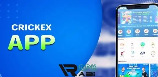 Why Download App Crickex is Better Than Web Version