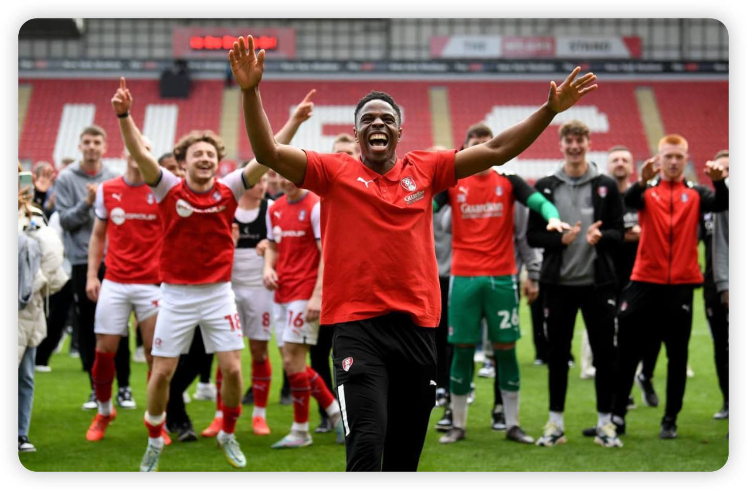 Crickex Insight: Rotherham United's Managerial Hunt: Tony Stewart's Blueprint for Championship Success