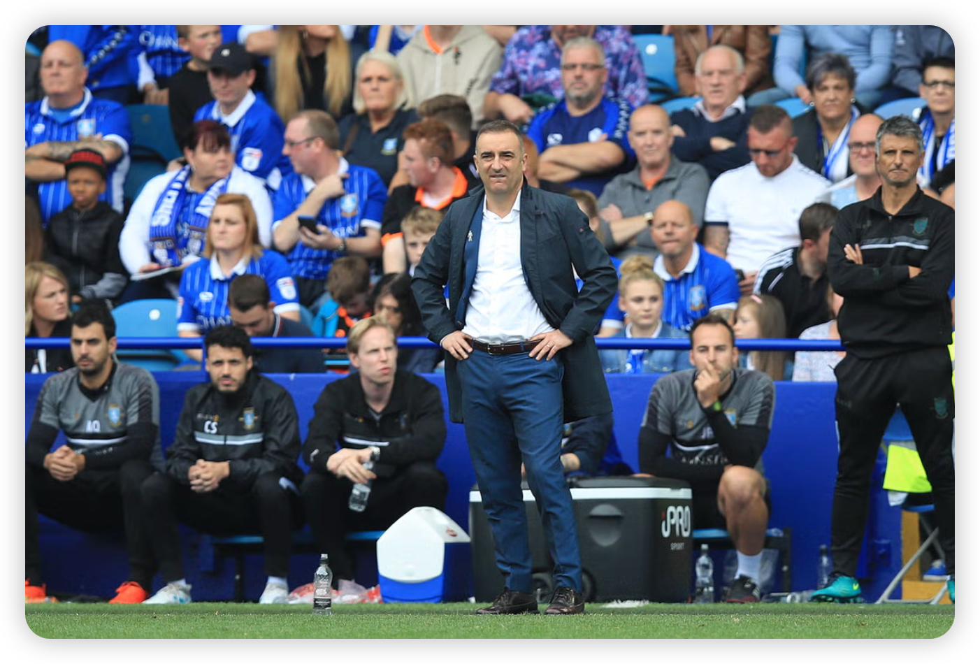 Crickex Exclusive: Carlos Carvalhal's Sheffield Wednesday Era Ends After Boro Defeat