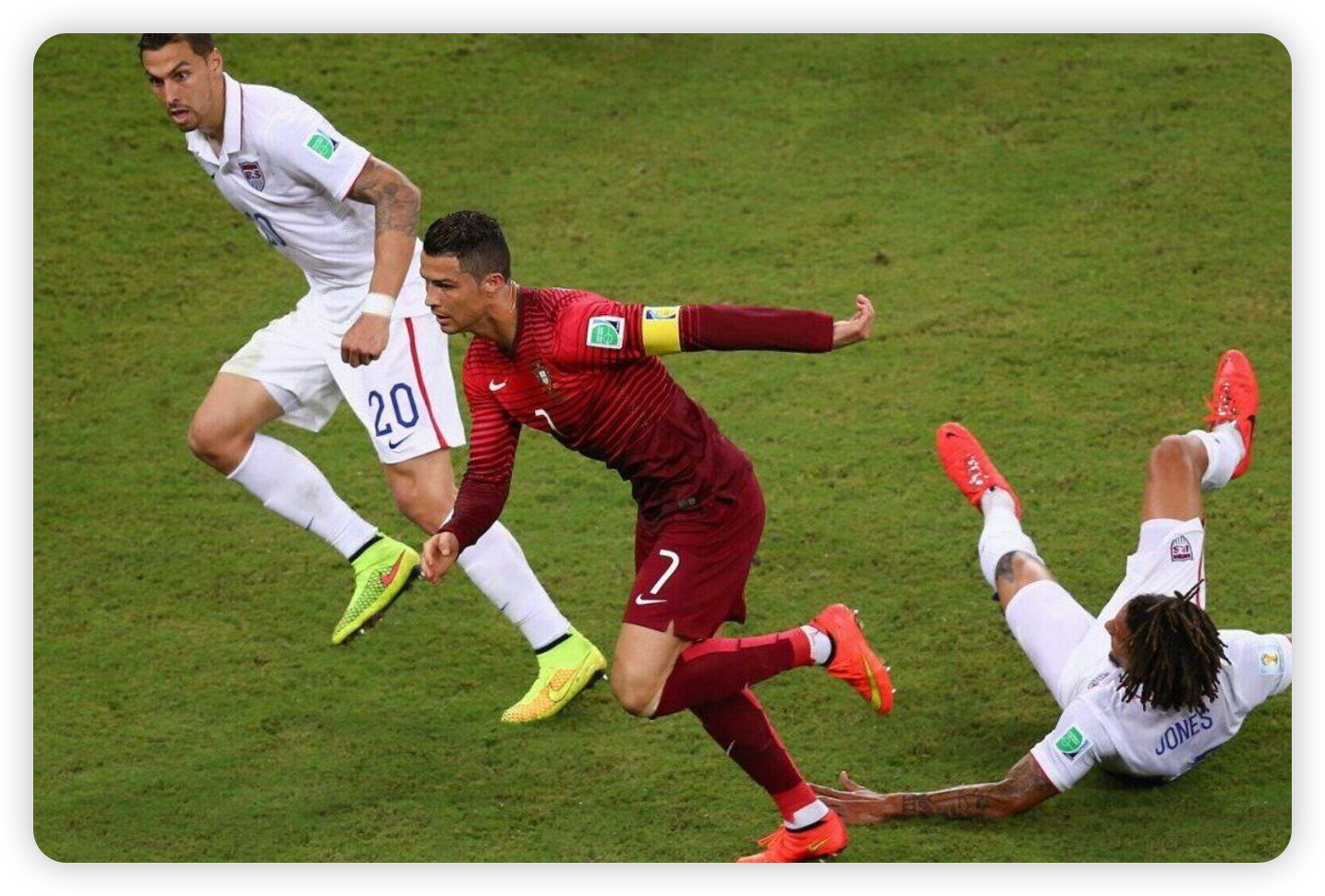 A Stadium Born from the Jungle